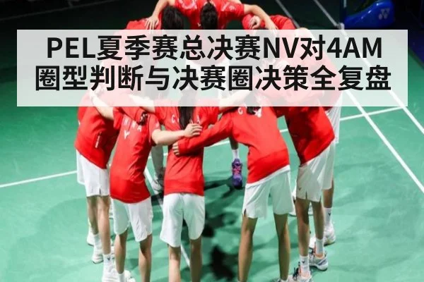 PEL夏季赛总决赛NV对4AM圈型判断与决赛圈决策全复盘